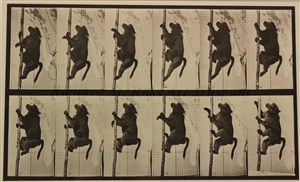 Image description is not available for 1996.067